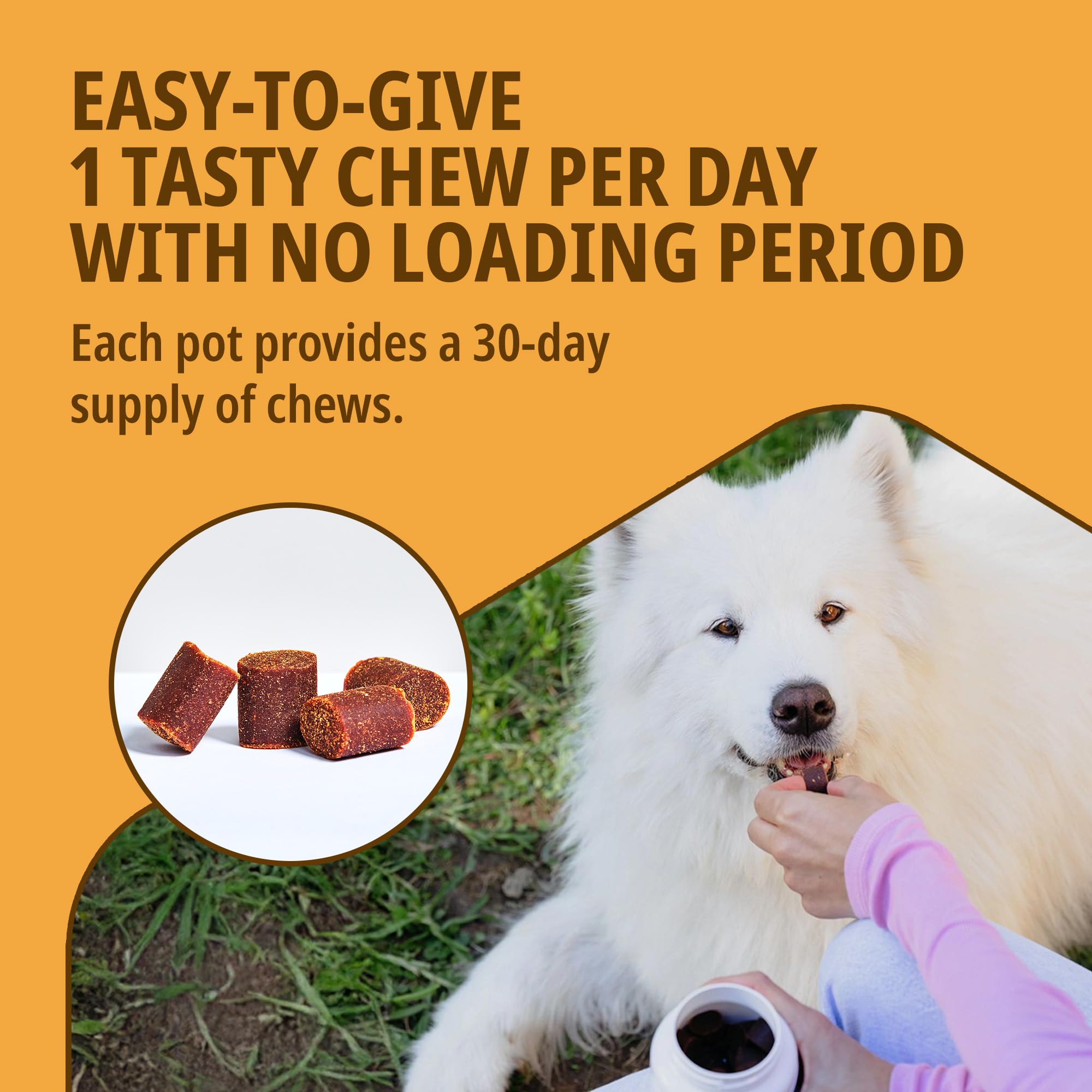 MOVOFLEX® Joint Supplement for Large Dogs >35kg | Supports Joints & Mobility| Fast-Acting Tasty chews | 30 Chews