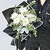 Product Photo 3