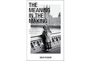 Sean Tucker's The Meaning in the Making: Exploring the Why and How...