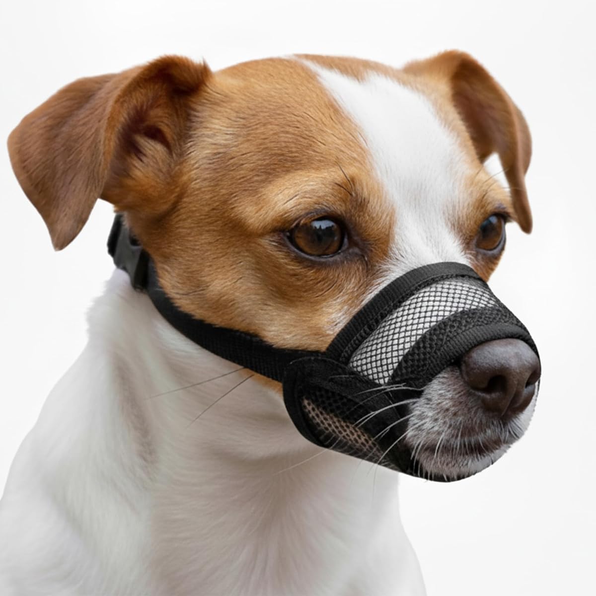 Bozal para perros pequeños - Bozal para perros pequeños de malla de aire suave | Perfecto para prevenir ladridos y mordeduras | Los mejillones para cachorros para el cuidado permiten jadear y beber