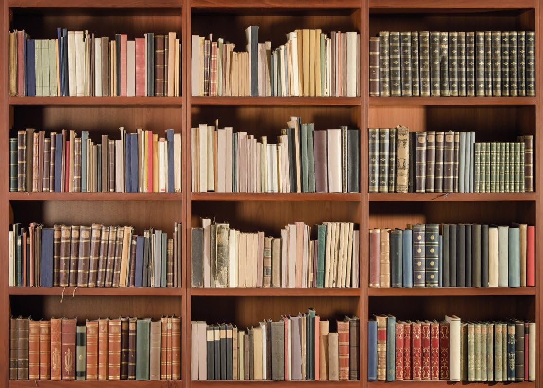 LYWYGG 8x6FT Fond Photo Vinyl Photography Background Office Backdrop Library Backdrop Book Backdrop Bookshelf Backdrop Vintage Bookcase Magic Books Ancient Library Photo Studio Backdrop CP-49-0806
