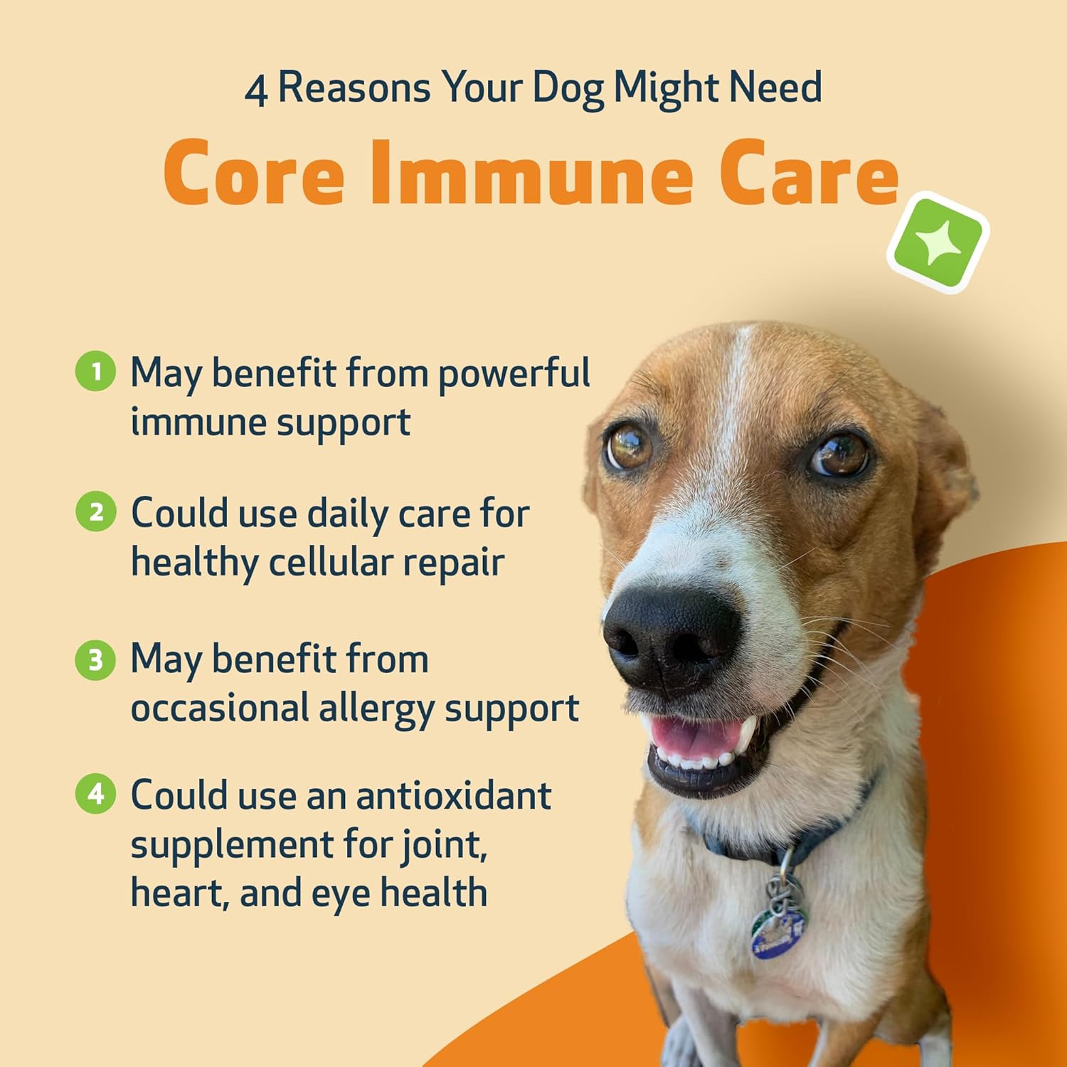 Pet Wellbeing Core Immune Care for Dogs - Daily Antioxidant Support for Pets of All Ages - Veterinarian Formulated Holistic Immune Support - 3.7 oz (105 g) Powder