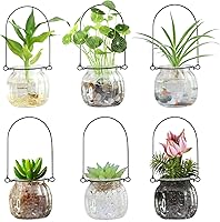 XUNSAIL 6-Pack Hanging Glass Terrarium Vases for Air Plants - Wall Hanging Pots, Clear Glass Home Decor with Wire Hangers
