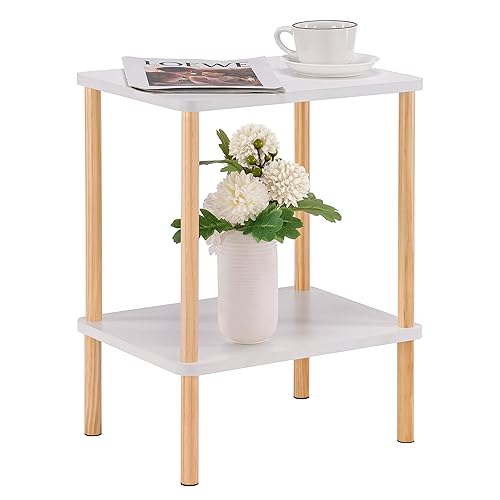 Apicizon 2 Tier End Table, Small Side Table with Solid