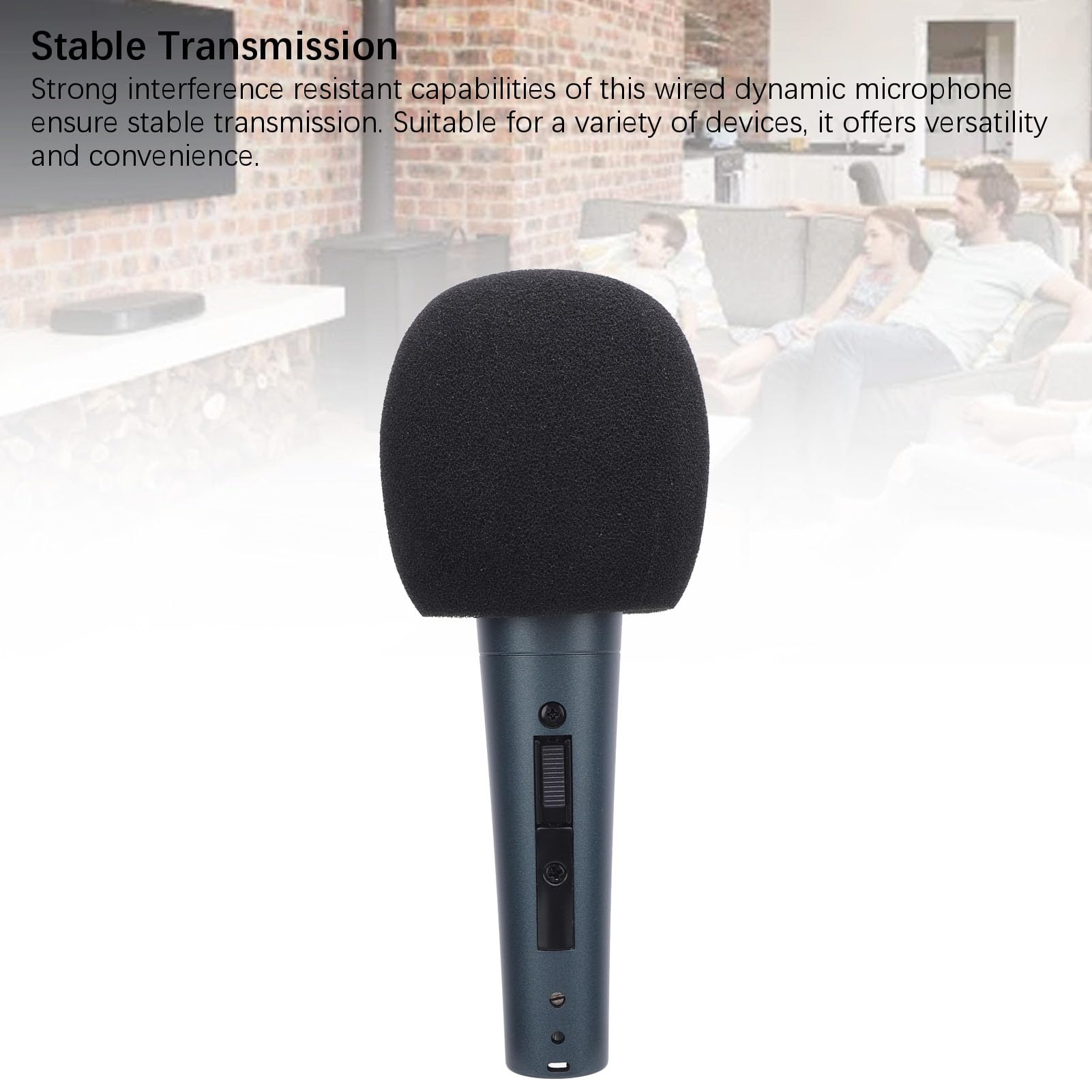 Cocoarm Microfono Dinamico, Set di Microfoni a Bobina Mobile Palmare Cardioide Cablato, 600 Ohm da 50 a 18 KHz, Design Ammortizzante, per Cantare Registrazione Vocale con Mixer Altoparlanti (Ciana)