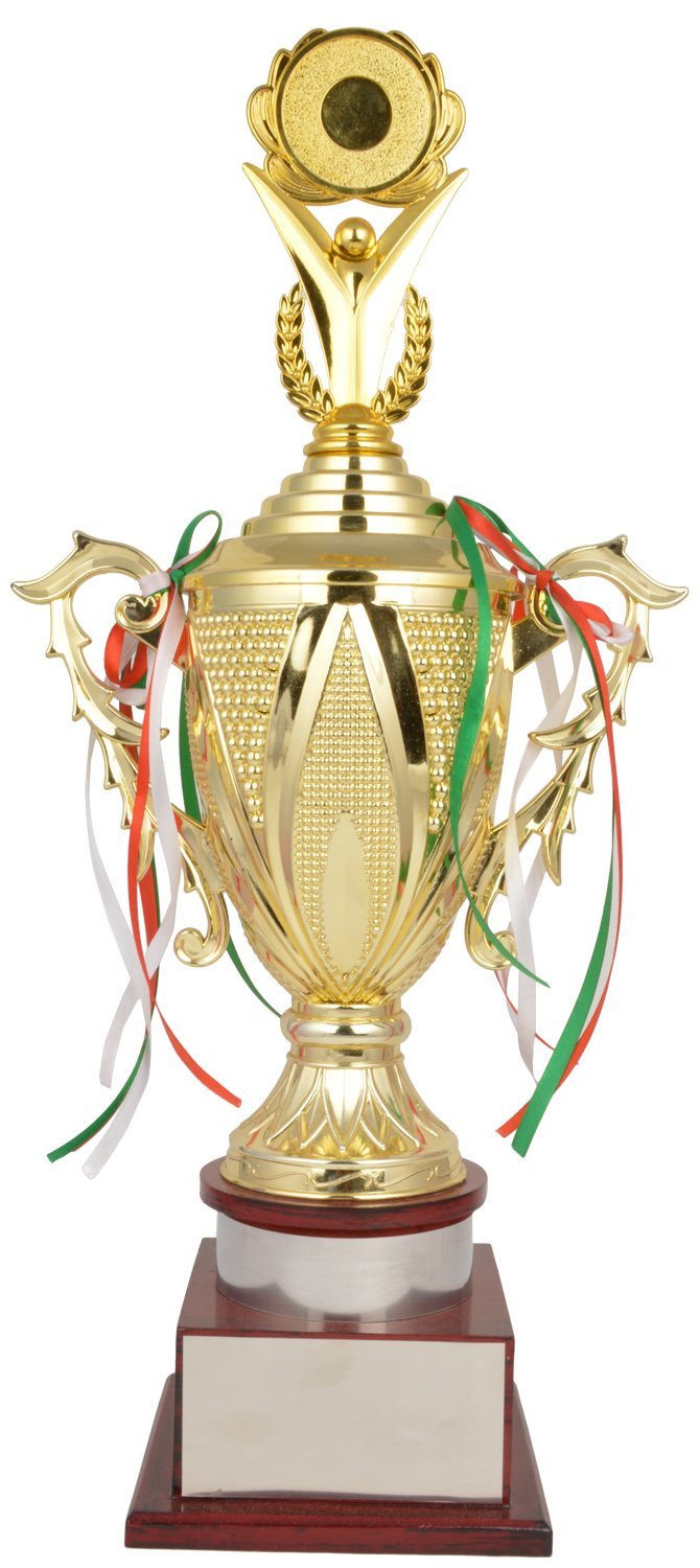 TROPHY JUNCTIONMetallic Fiber Trophy, Gold