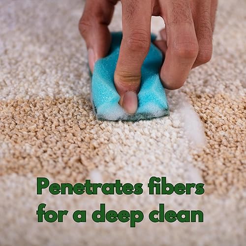 Miniatura 2 de NOYATECH Limpiador de sofás y quitamanchas. Rápido, fácil. Eficaz. Para sofás, tapicería de automóviles, alfombras, alfombras, sillas, todos los