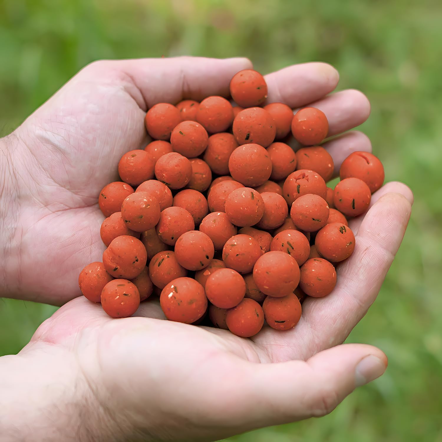 Tasty Baits Boilie 20mm - Appât à Carpe de Haute qualité - Irrésistible pour la Carpe - Convient à Toutes Les eaux - Idéal pour Les Sessions Longues et Courtes