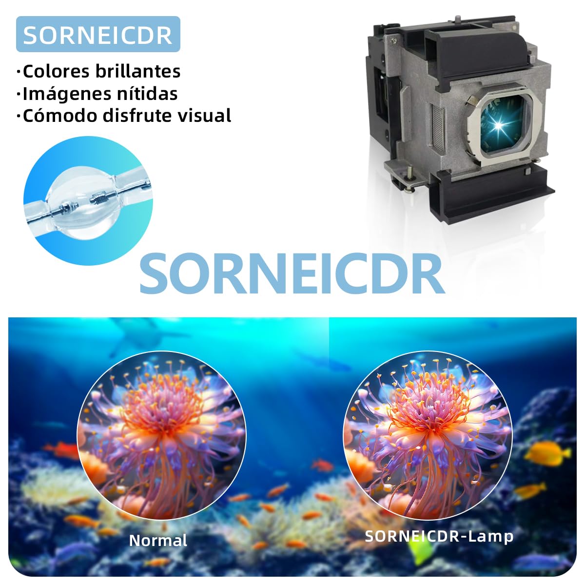 ET-LAA110 Lampada proiettore di ricambio con alloggiamento per PANASONIC PT-AH1000E, PT-AR100U, PT-LZ370E Videoproiettore
