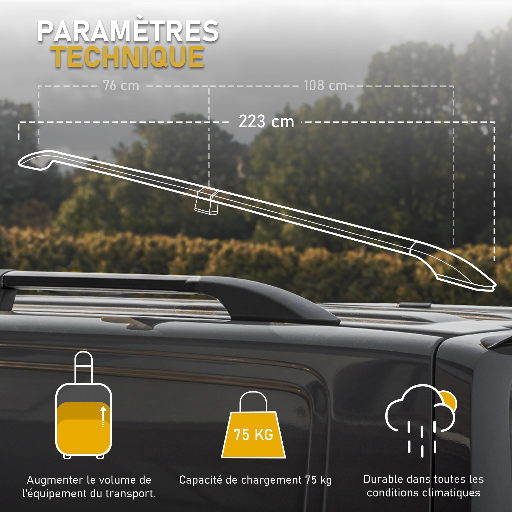 CHROMEMASTER | Les Barres de Toit Compatible avec Fiat Ducato L1 Court 2006+ ; Rails de Toit Conçus pour Le Montage de Barres de Toit, de Coffres de Toit, de Porte-vélos | Aluminium Durable