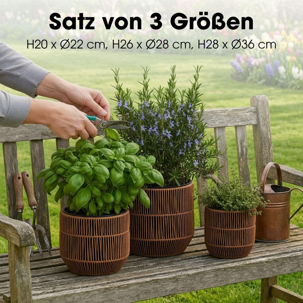 MICA Decorations Peta Blumentöpfe – Set von 3 – Pflanzentopf für Blumen und Außenpflanzen – Für den Außenbereich – Dunkelbraun