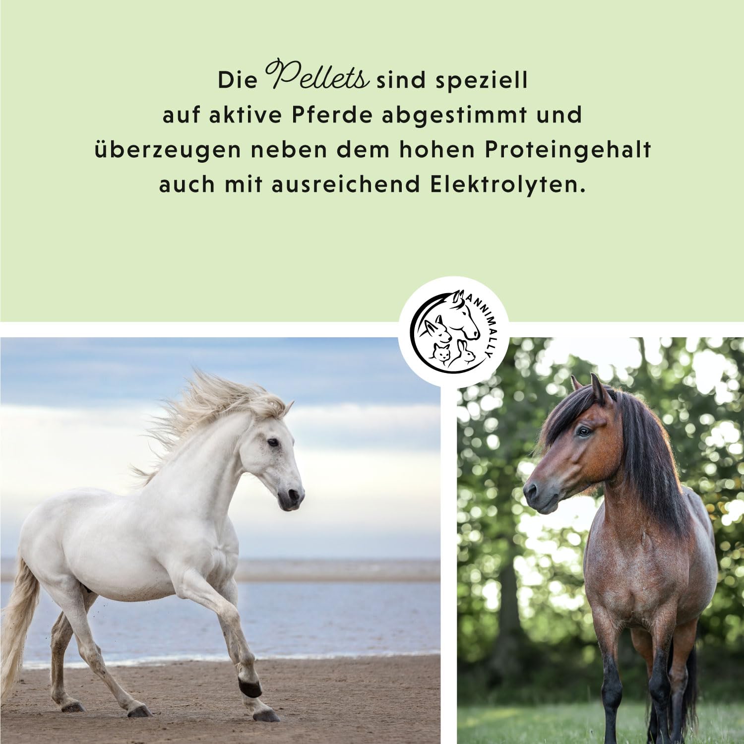 Sport & Leistung Mineralfutter Pferde getreidefrei 6 kg - Ergänzungs Pferdefutter für Pferde mit Aminosäuren, Vitaminen, Mineralstoffen & Spurenelementen, wie Zink, Selen, Omega 3 & Jod