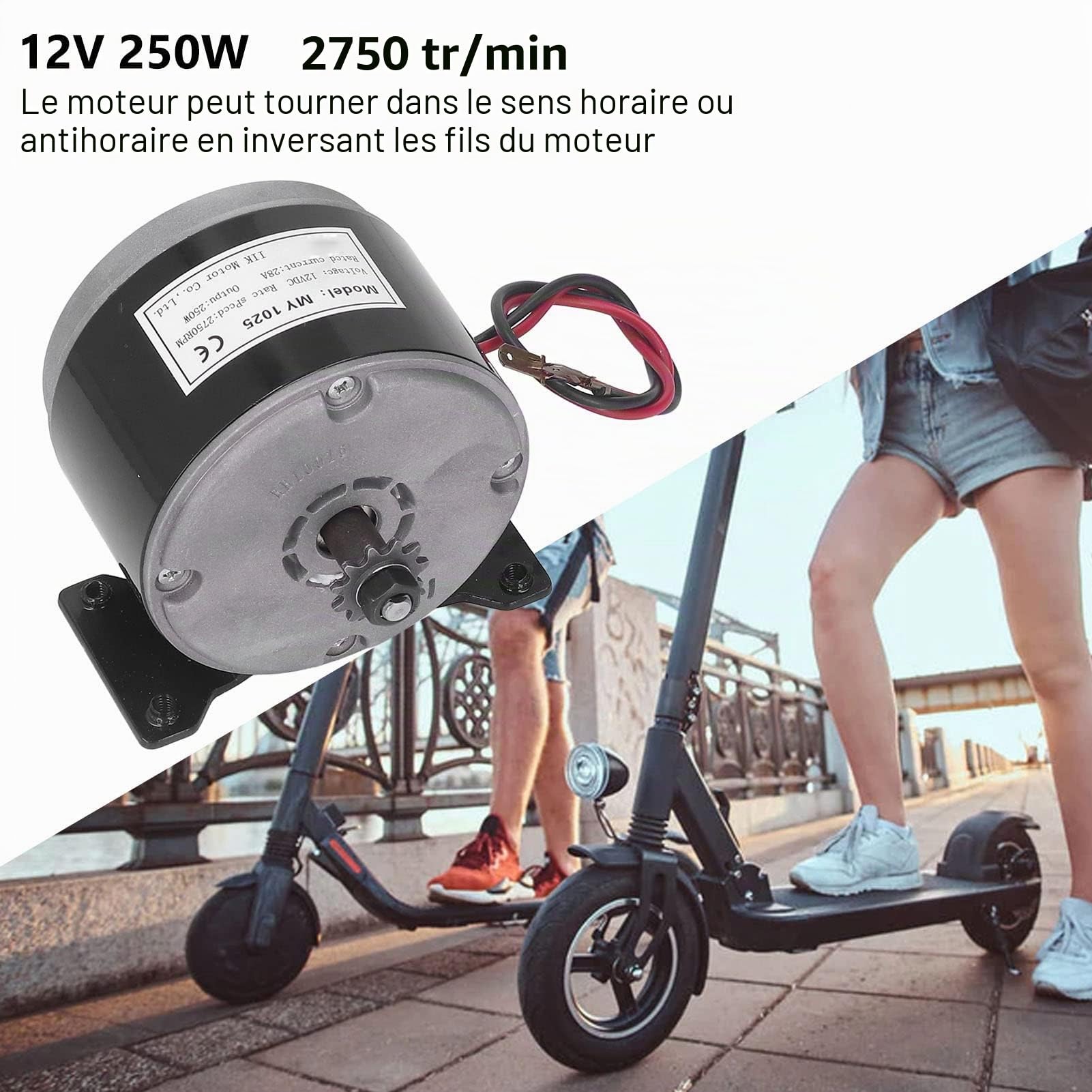 Moteur électrique brossé, Moteur électrique CC 12 V 250 W 2750 Tr/min pour Scooter électrique