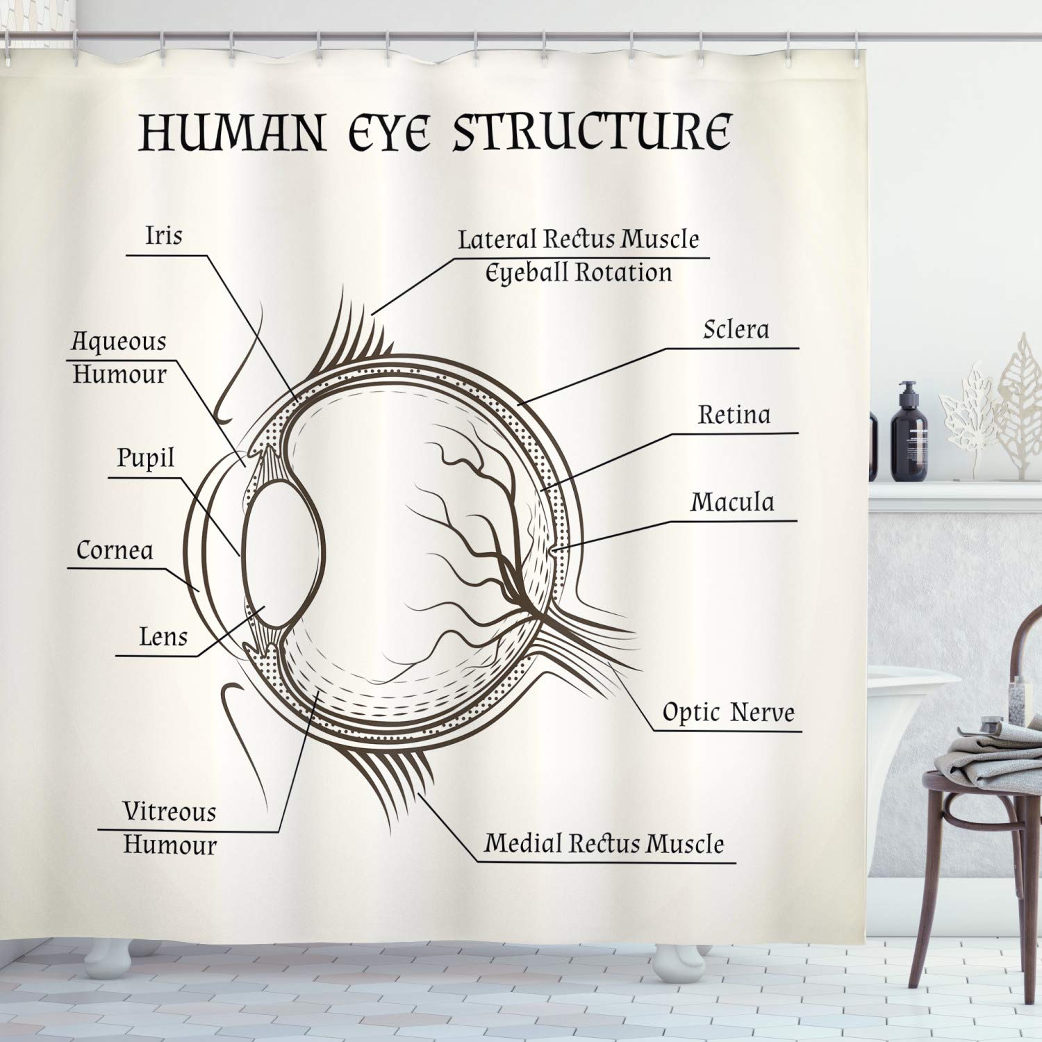 ABAKUHAUS Biology Shower Curtain, Structure of Human Eye Anatomy Iris Pupil Lens Macula Aqueous Humour