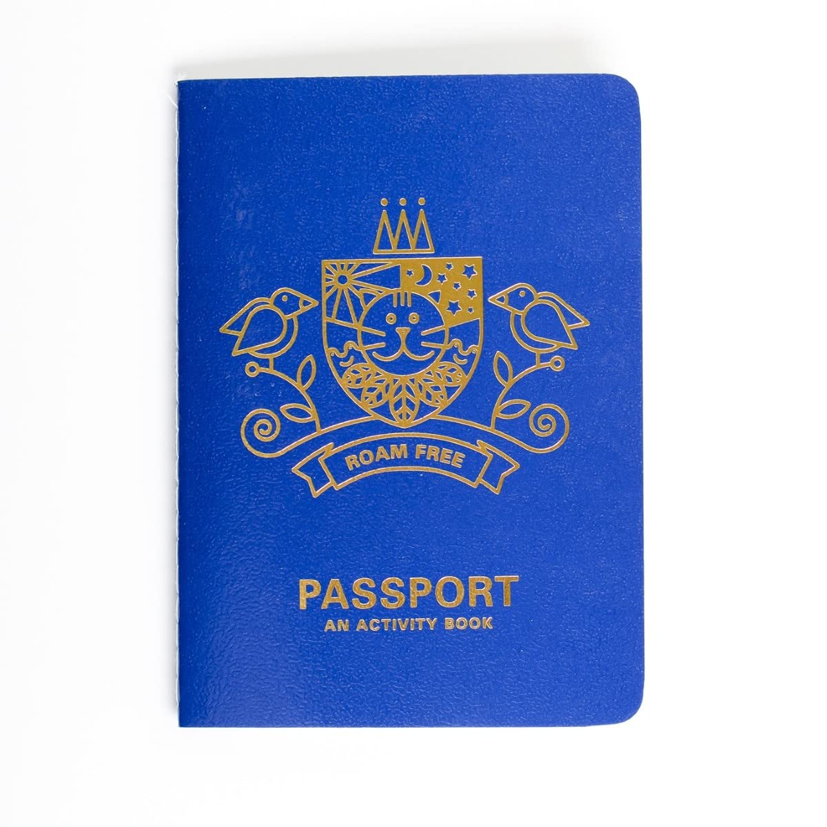 Passport: An Activity Book by Robin Jacobs PAPERBACK 9781908714244