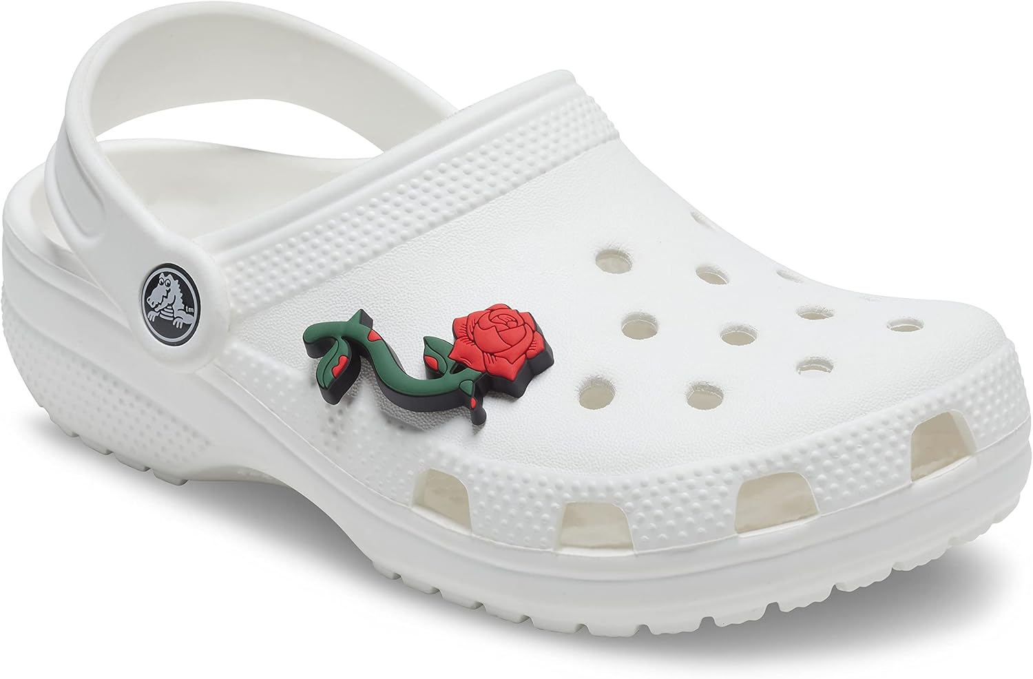 Crocs Jibbitz Save The Planet Shoe Charms| Jibbitz for Crocs, Sea Turtle, Small : Clothing, Shoes & Jewelry