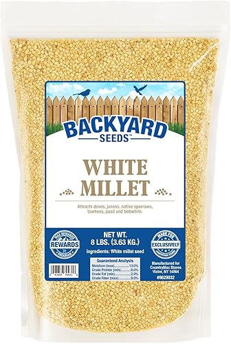 Semillas de mijo blanco para pinzones de 8 libras (8 libras)