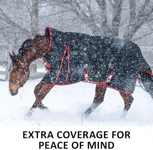 Miniatura 2 de Blizzard - Hoja de participación de caballo  Cuello alto  Talla 78  Negro  Exterior de poliéster de 1200 denier  Cuello Euro Fit  Surcingle cruzado