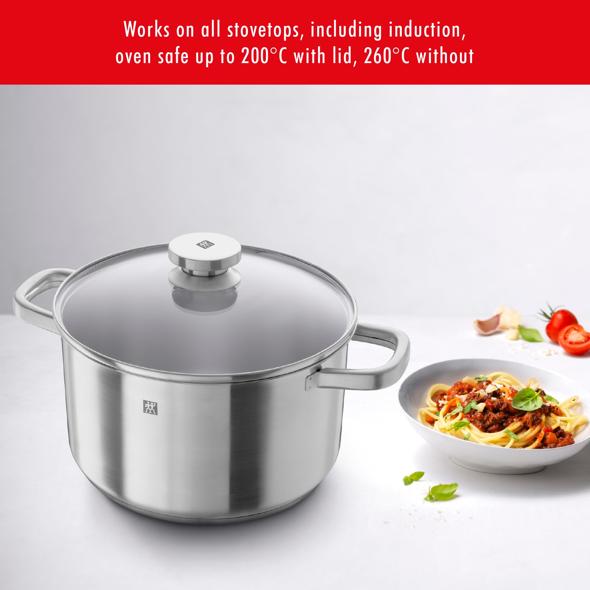 ZWILLING Joy 11 Piece 18/10 Stainless Steel COOKWARE Set : Amazon