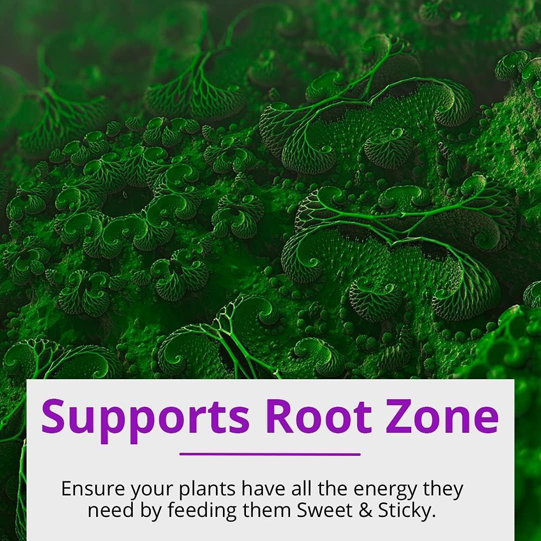 Humboldts Secret A & B Liquid Hydroponics Fertilizer - Nutrients for Outdoor, Indoor Plants (32 oz) w/Sweet & Sticky – Carbohydrate and Saccharide Energy Source – Energy for Plants (32 oz)