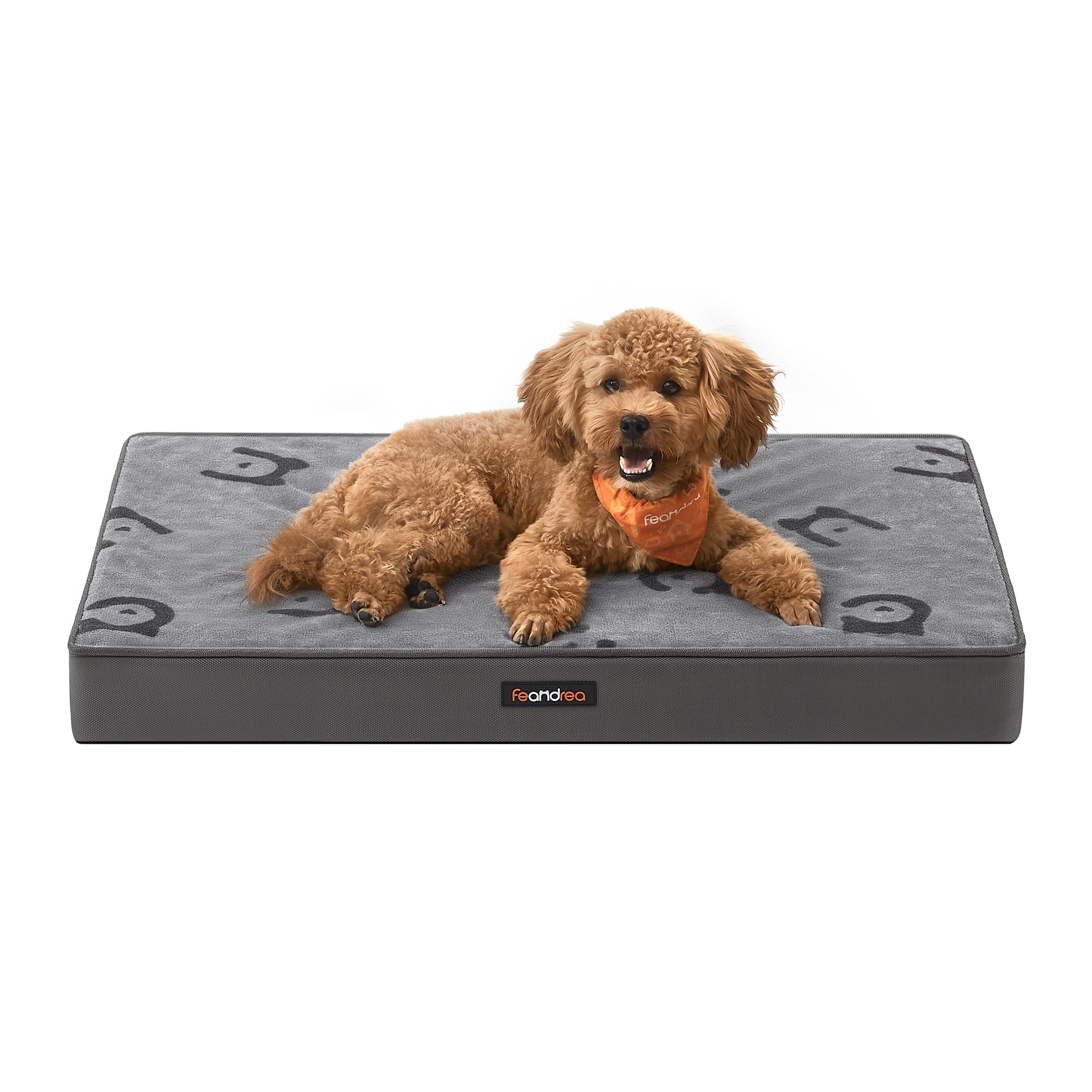 Feandrea Cuccia per Cani, Lettino per Animali, Gommapiuma Preformata Ondulata, con Maniglia, Sfoderabile, Uso a Doppio Lato, Impermeabile, Taglia M, 76 x 51 x 8 cm, Grigio Tortora PGW241G01