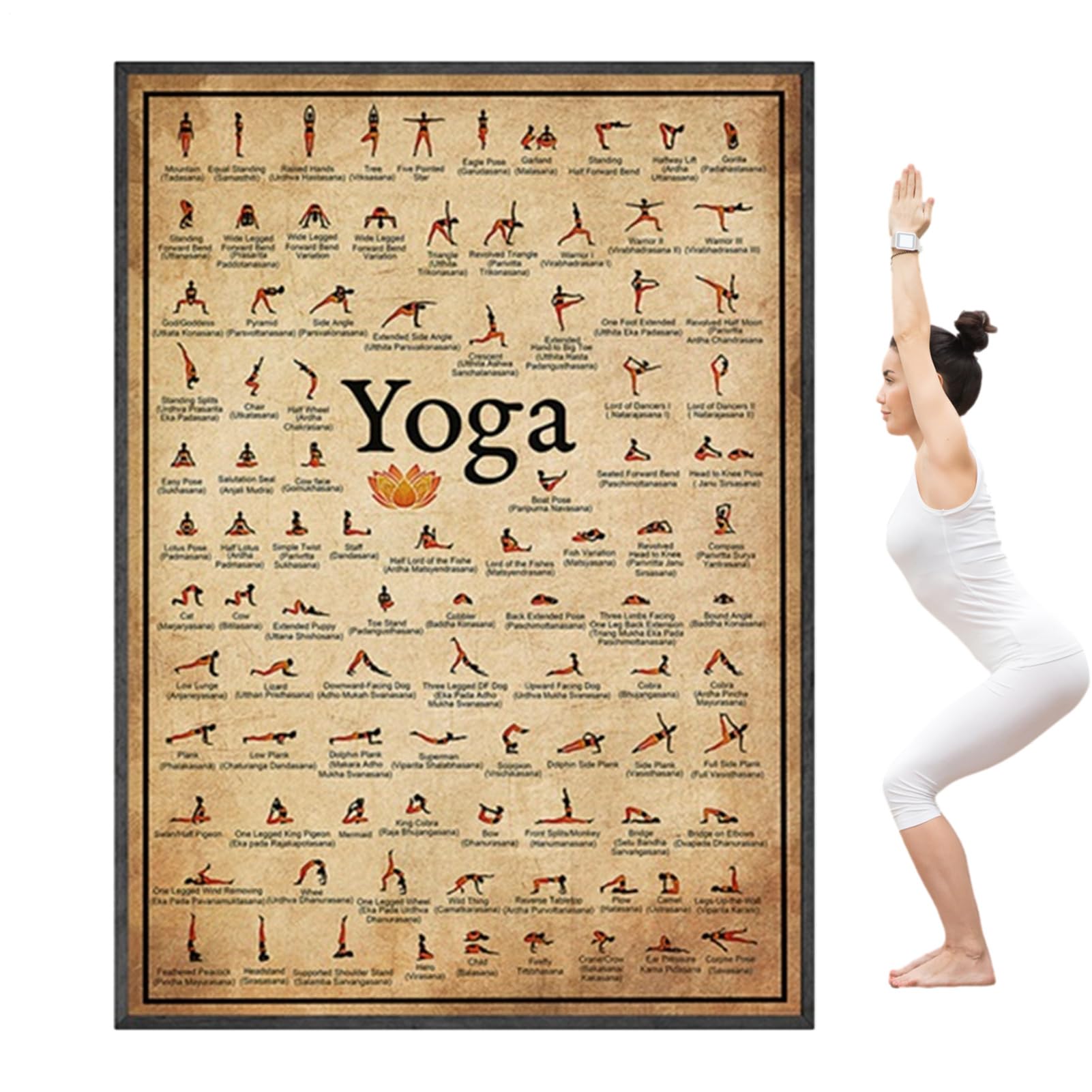 Yoga Poses Chart - Yoga Poses Poster | Grafico per l'esercizio fisico per tutto il corpo | Asanas Wall Art Home Gym, arredamento del fitness, Guida di allenamento per forniture di pratica avanzata