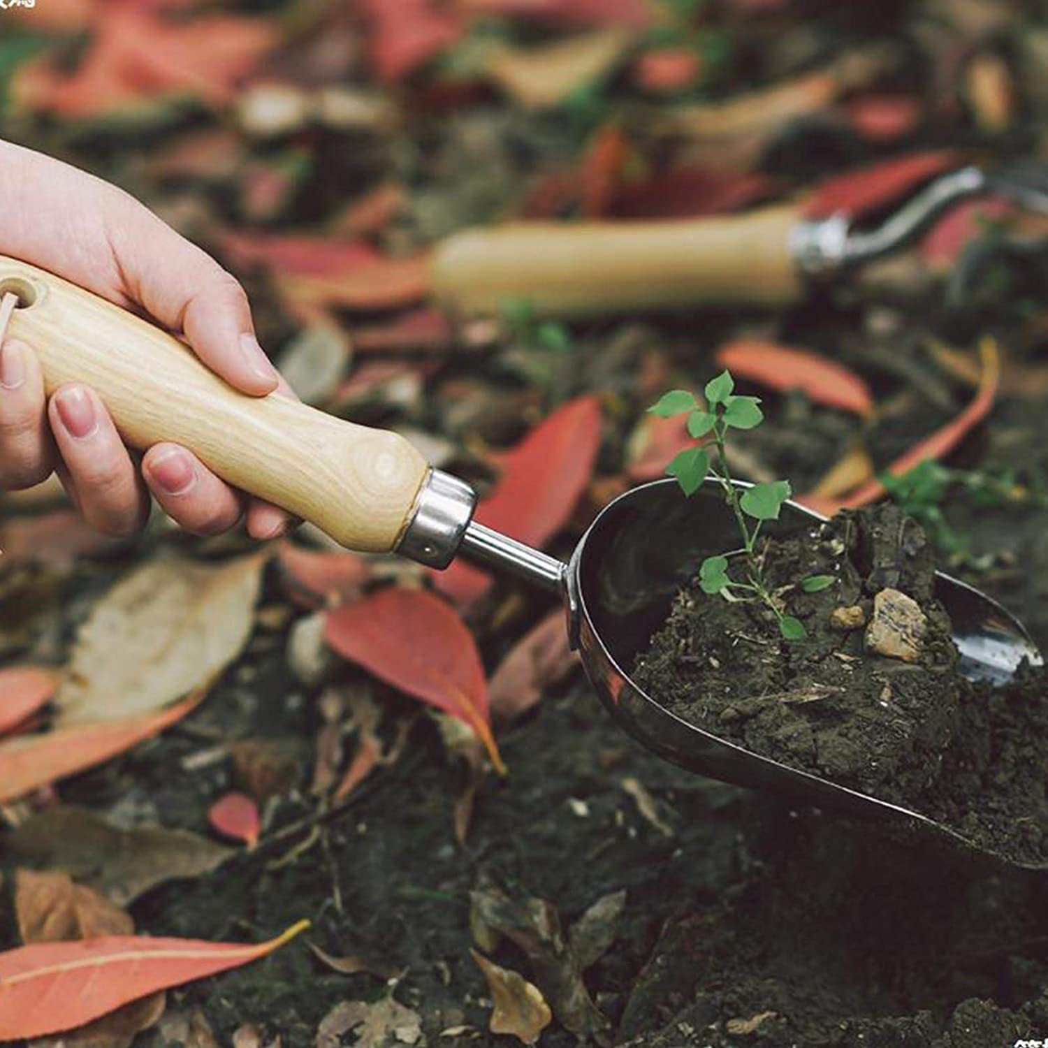 Ensemble d'outils de Jardinage 3 pièces Kit d'outils de Jardinage en Acier à Haute teneur en Carbone avec pelles Ciseaux râteau sécateur
