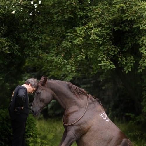 Alexander Nevzorov books, biography, latest update