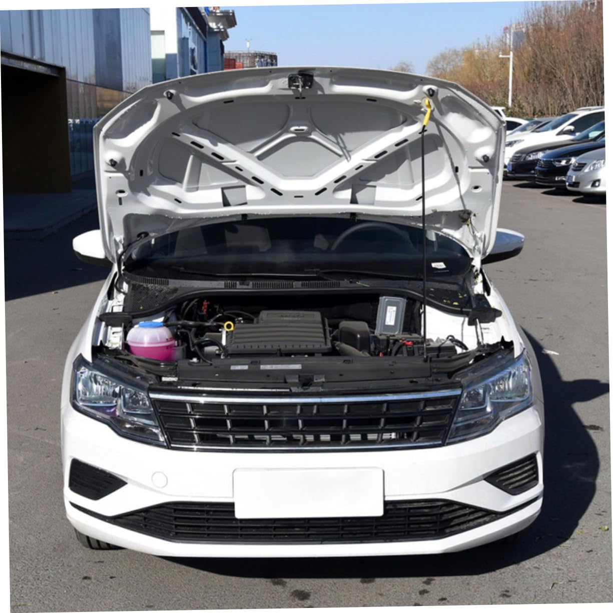 Cabilock Serbatoio di Espansione Radiatore per Auto Vaschetta di Raffreddamento Resistente Facile Installazione Compatibile con Vari Modelli