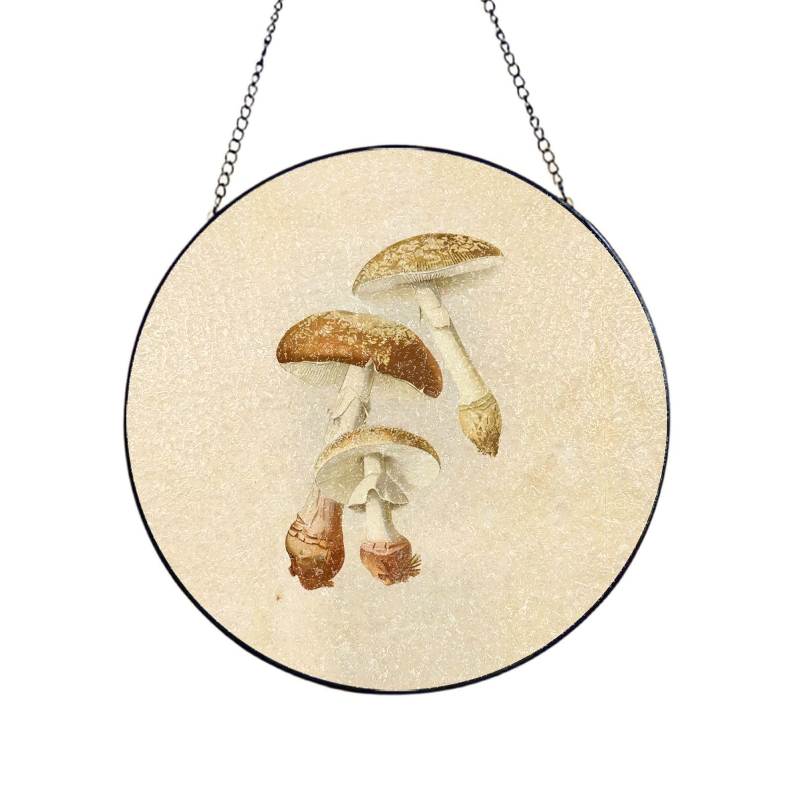 Phayah Vintage Edible Mushrooms Print Glass Window Hanging Sun Catchers Suncatcher Decor For Birthday For Home Garden Porch 6in（15cm）