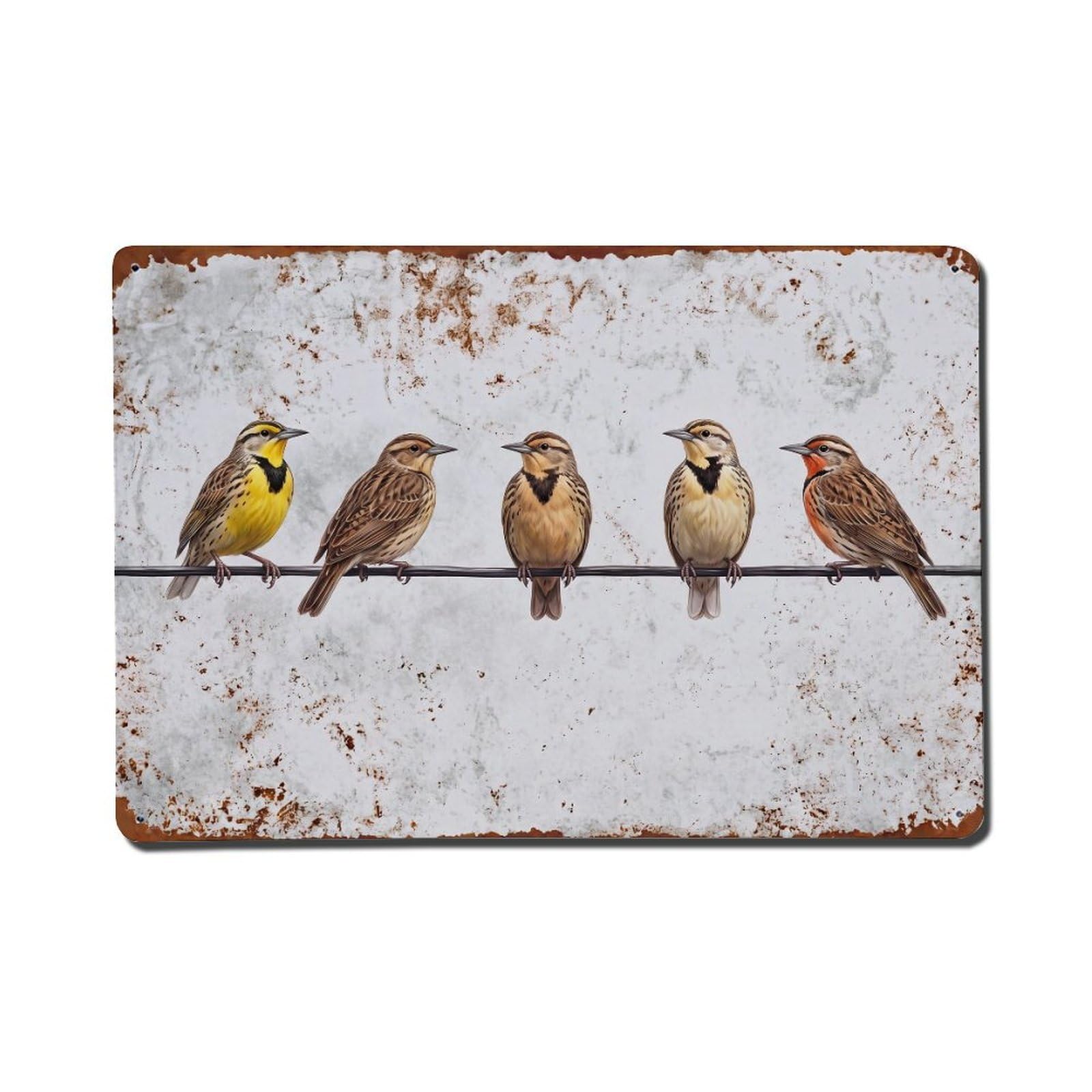 Vintage Retro Birds Meadowlark Metal Tin Sign