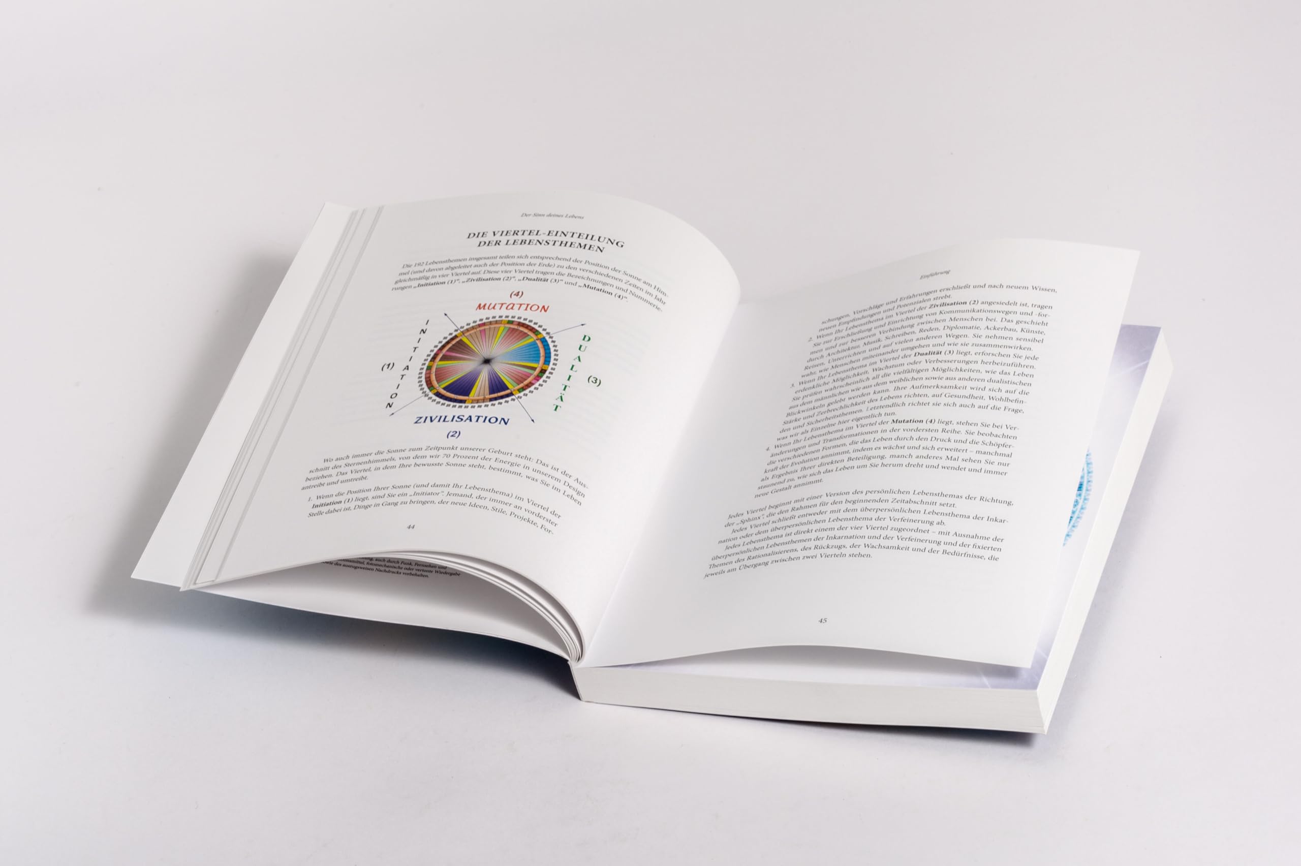 Der Sinn Deines Lebens: Entdecke Deine Bestimmung - Das Begleitbuch zu Human Design, dem System zur Enthüllung Deiner wahren Natur
