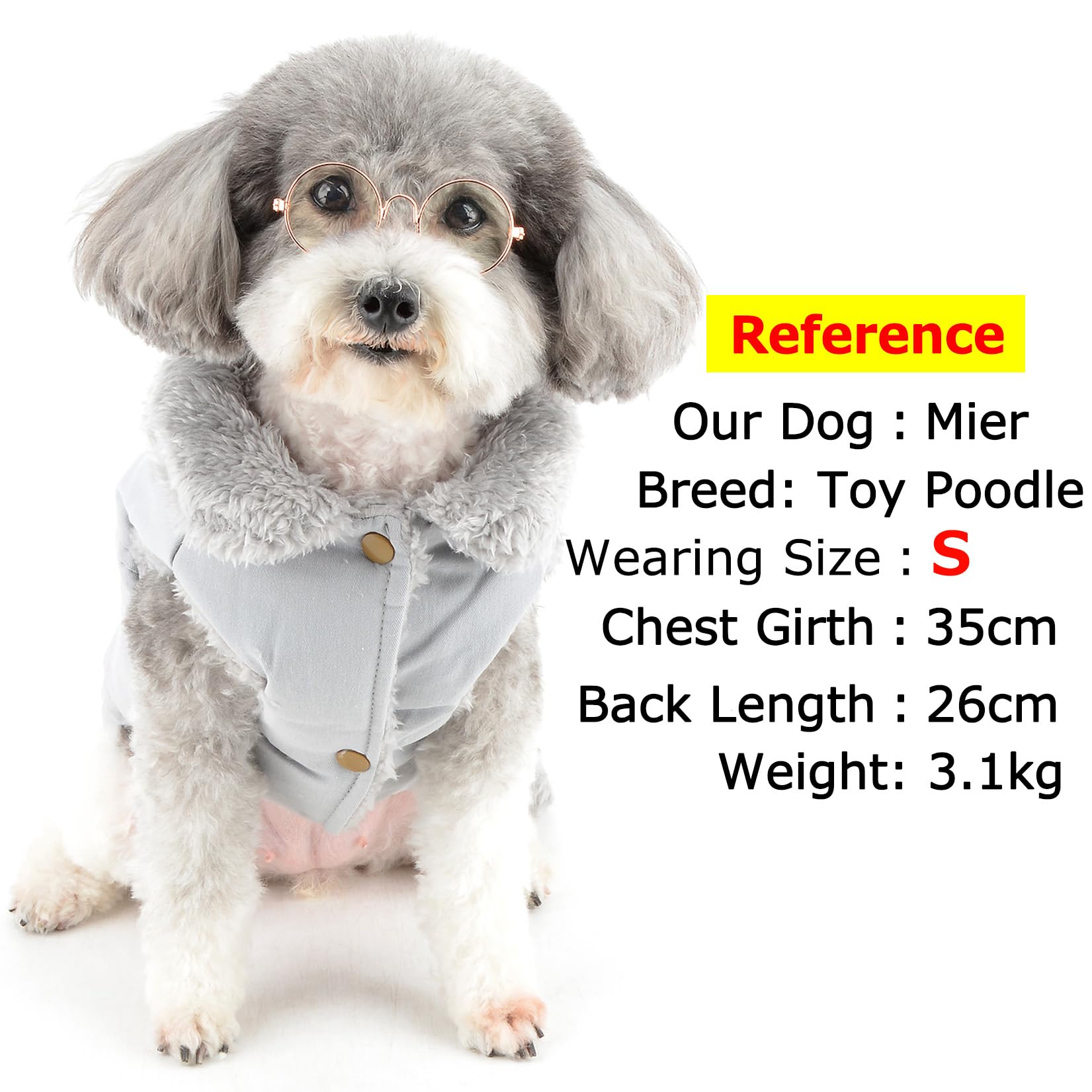 2 Pièces Pull En Peluche Pour Chien Et Chat, Chien Vetement Hiver, Pull