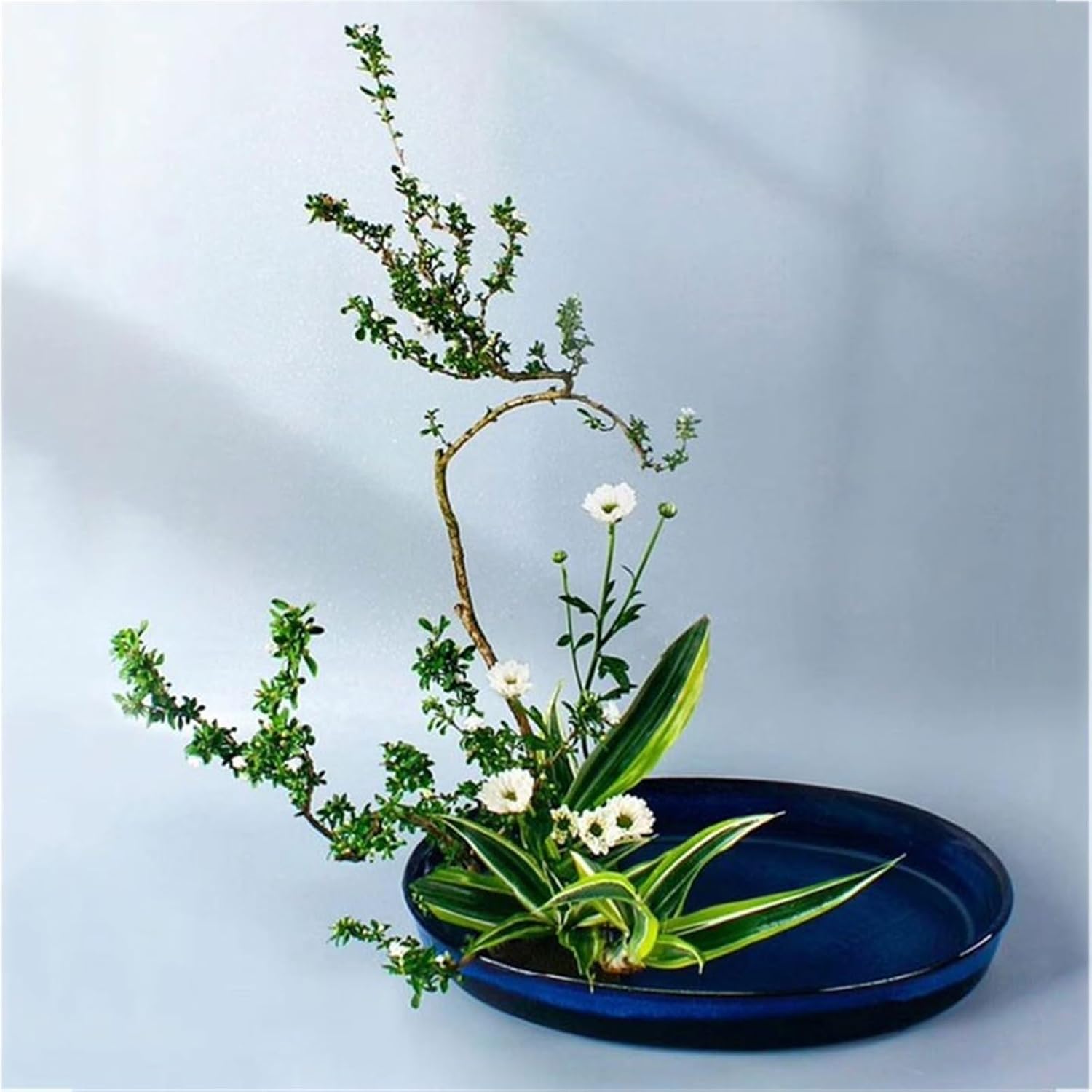 Ikebana Vase Large Ellipse Ceramic Drip Tray Floral Arrangement Saucer for Desktop Living Room Garden Office Flower Arrangement Pot