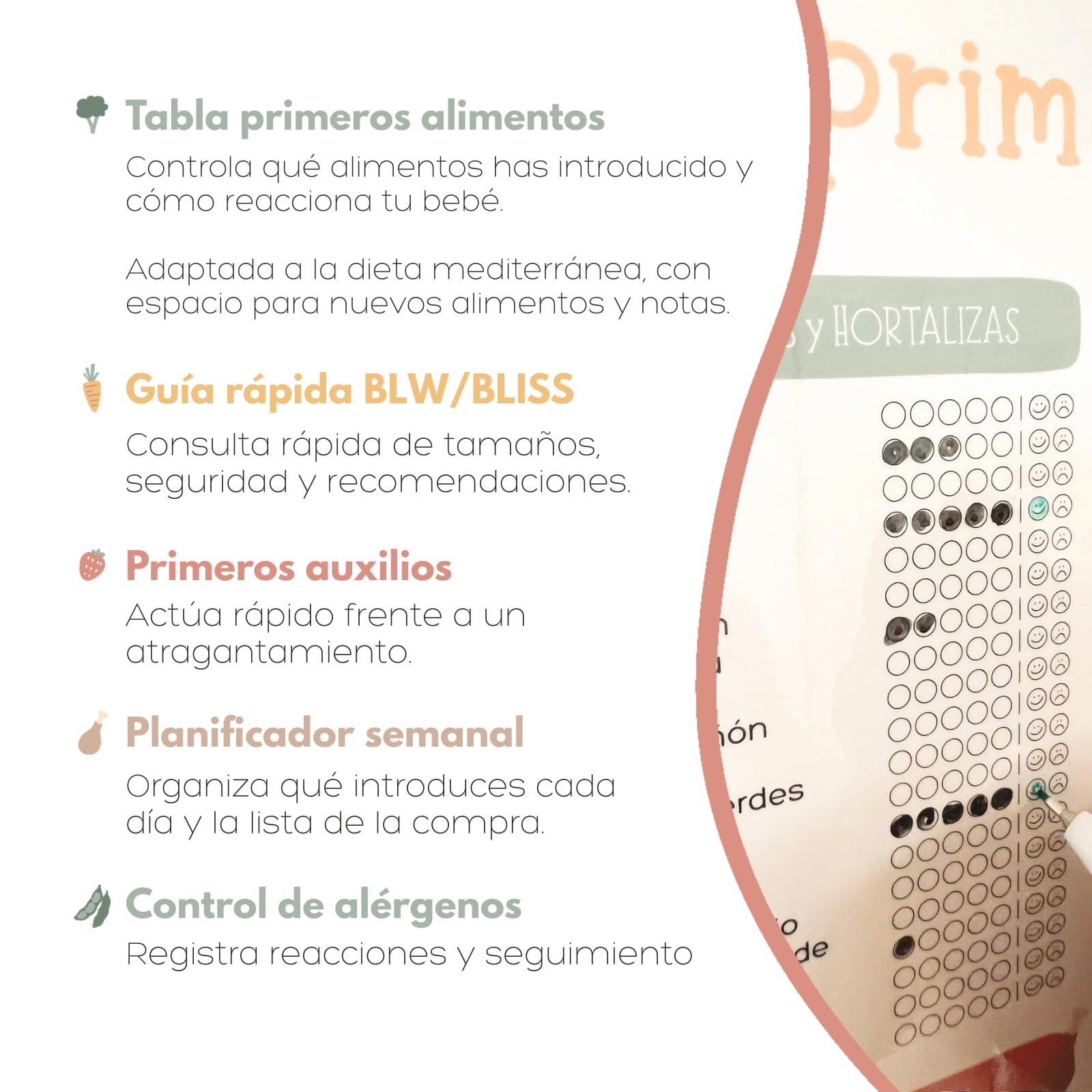 Bebébite Set de 5 Pizarras Magnéticas para Nevera Alimentación Complementaria BLW en Español