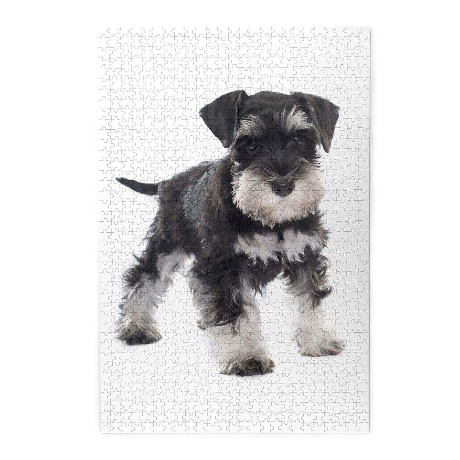 50)みやびん12個おまとめ ミニチュアトルソー 50)みやびん12個おまとめ