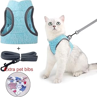 Suchergebnis Auf Amazon De Fur Katzengeschirr Fur Maine Coon Haustier