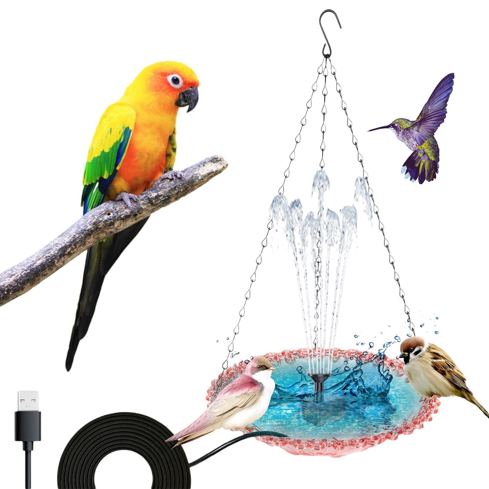 Outil de bain pour oiseaux et station de pompe USB extérieure de jardin