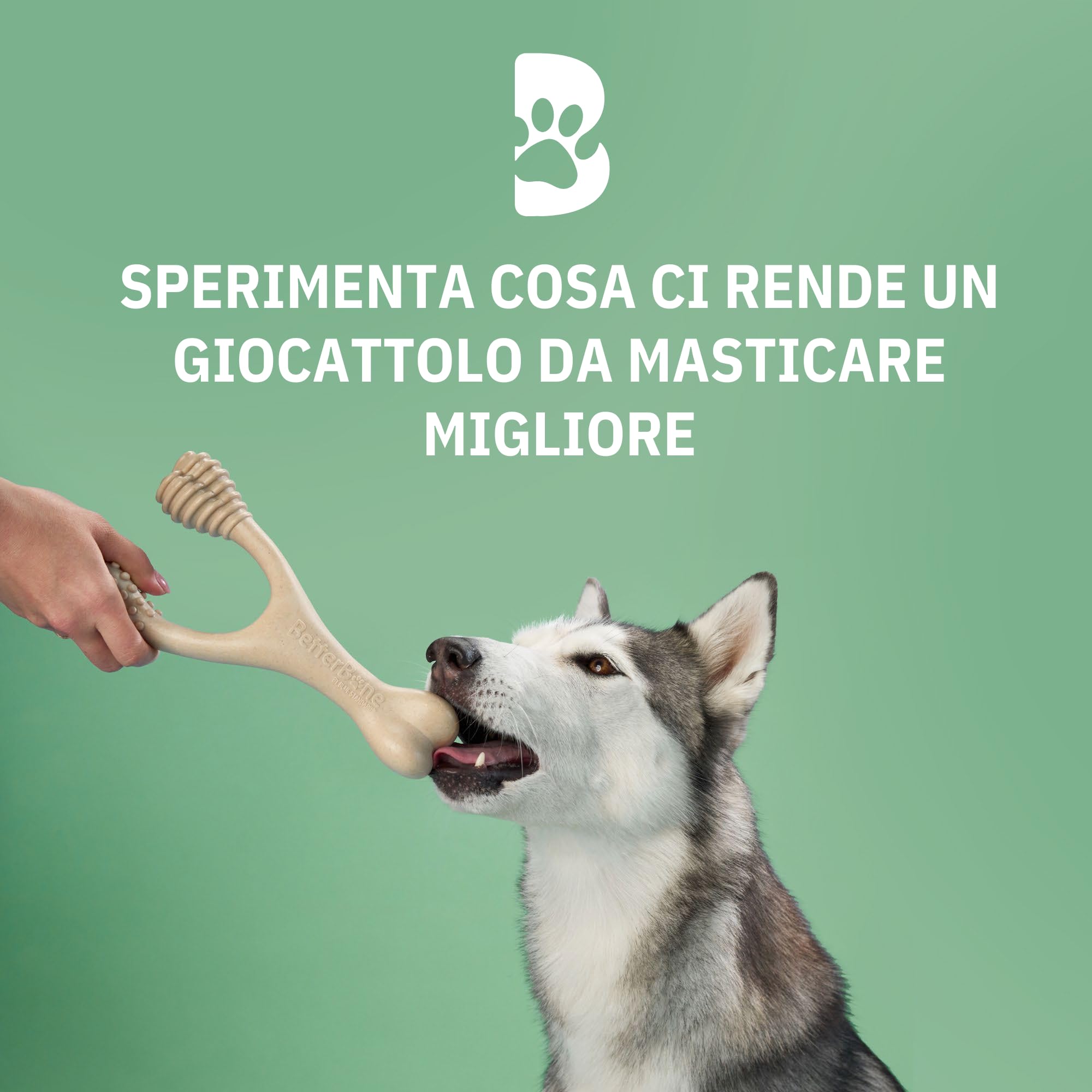 BetterBone - Giocattolo per cani da masticare – Small Medium Beef – Osso da masticare per cani senza nylon e OGM a base di cellulosa – Giocattolo da masticare medio con sapore di manzo – Legno da