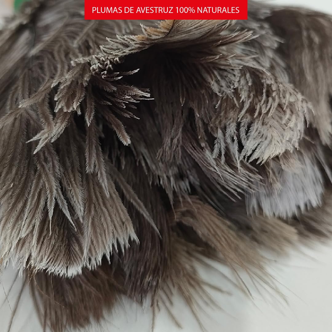 Plumero Avestruz 30 cm Fabricado en España - Plumero Atrapapolvo con Mango de Madera y 100% Plumas de Avestruz - Limpieza Muebles