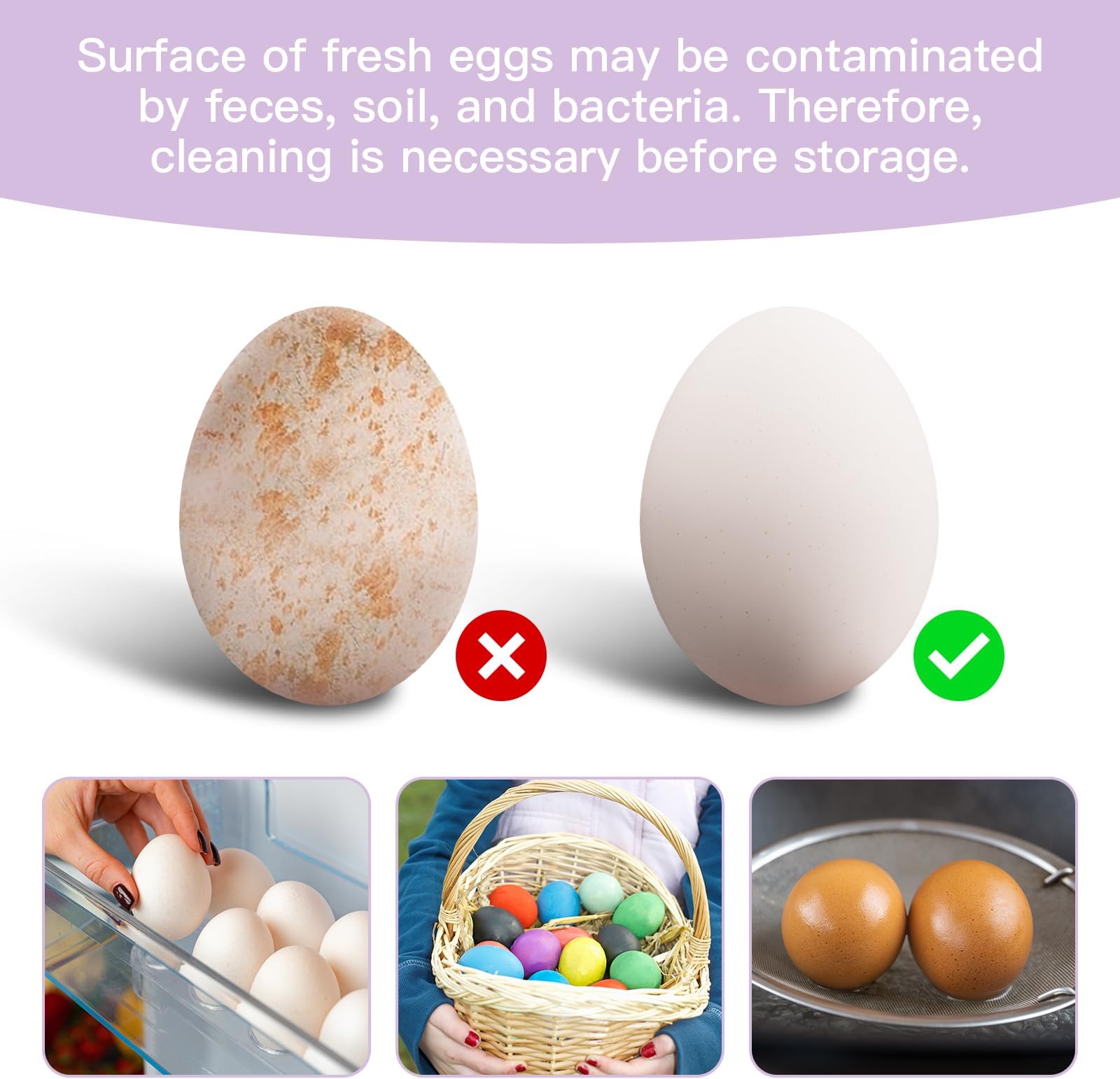 Silicone Fresh Egg Brush Cleaner, Egg Washer for Fresh Eggs, Egg Cleaner for Fresh Eggs, Cleaning Tools for Egg Washer (Purple, 2 Pcs)