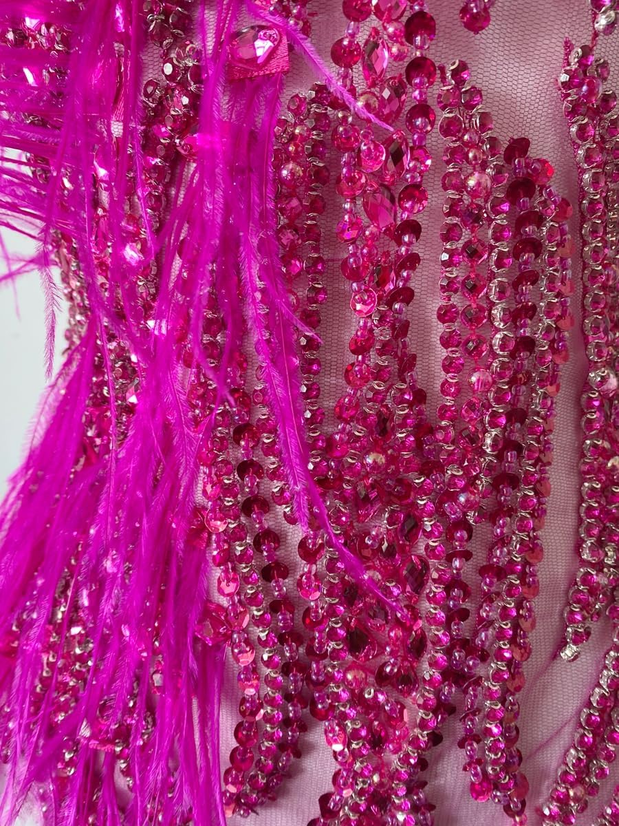 Hand Made Smart Beads Tassels Fluttering Feathers Hand-Stitched Shiny Rhinestones Bodice Applique Dress DIY Accessories Patches (Rose red)