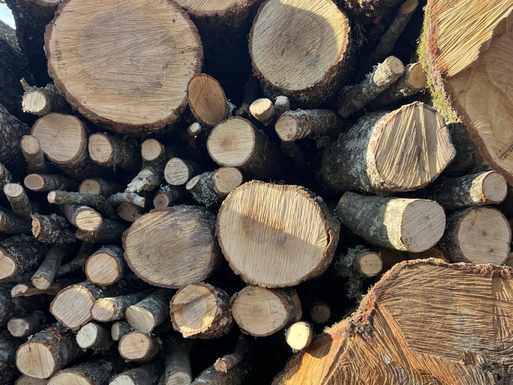 Legna Da Ardere Di Carpino Essiccata - 45 Litri, Ceppi Da 25 Cm, Umidit&agrave; <15% Per Camino E BBQ