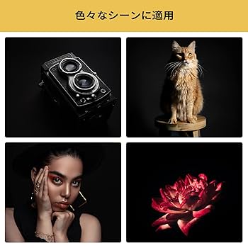tecdigbo 撮影用スクリーンセット e-monz_reverscreen