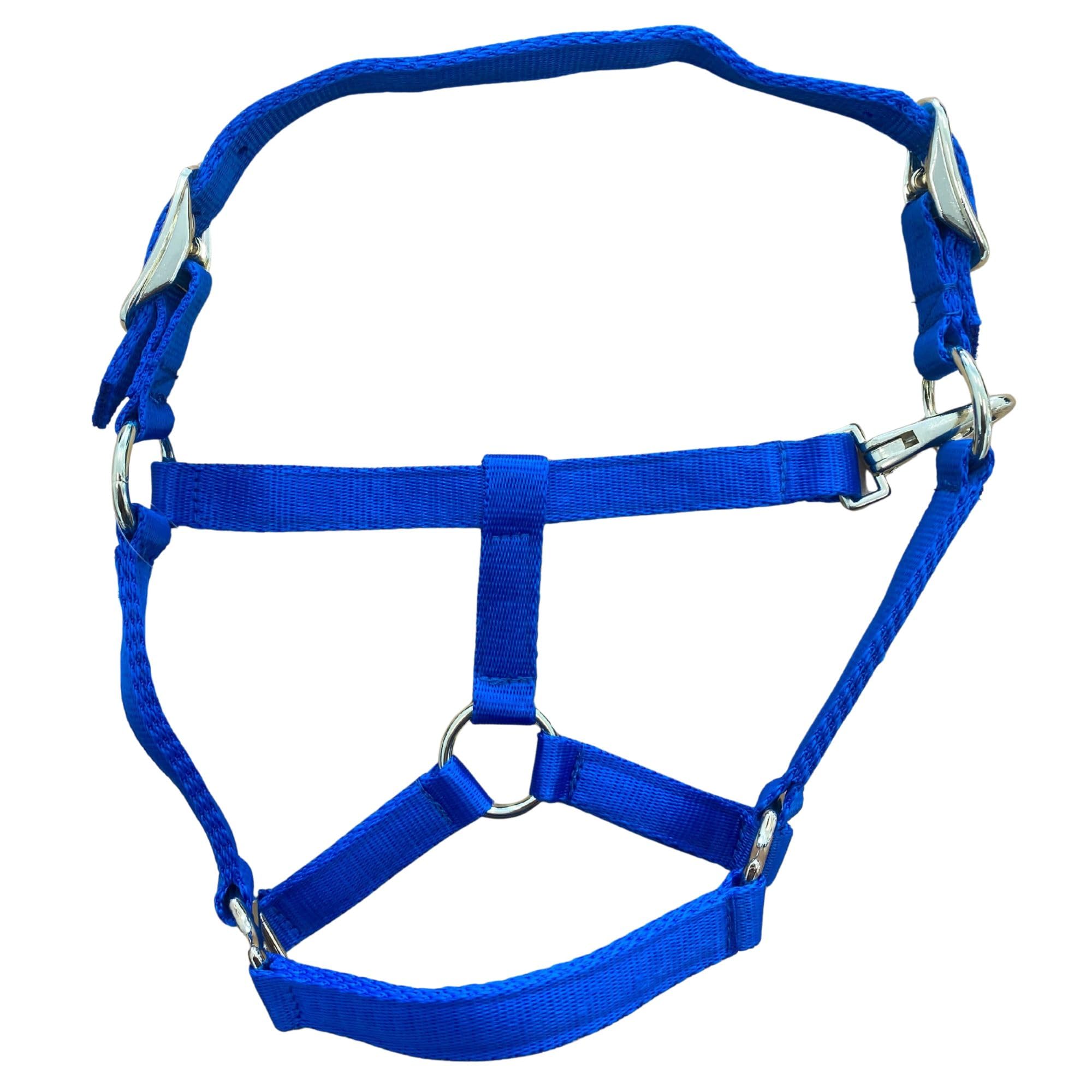 Intrepid International Nylon Miniature Horse Halter