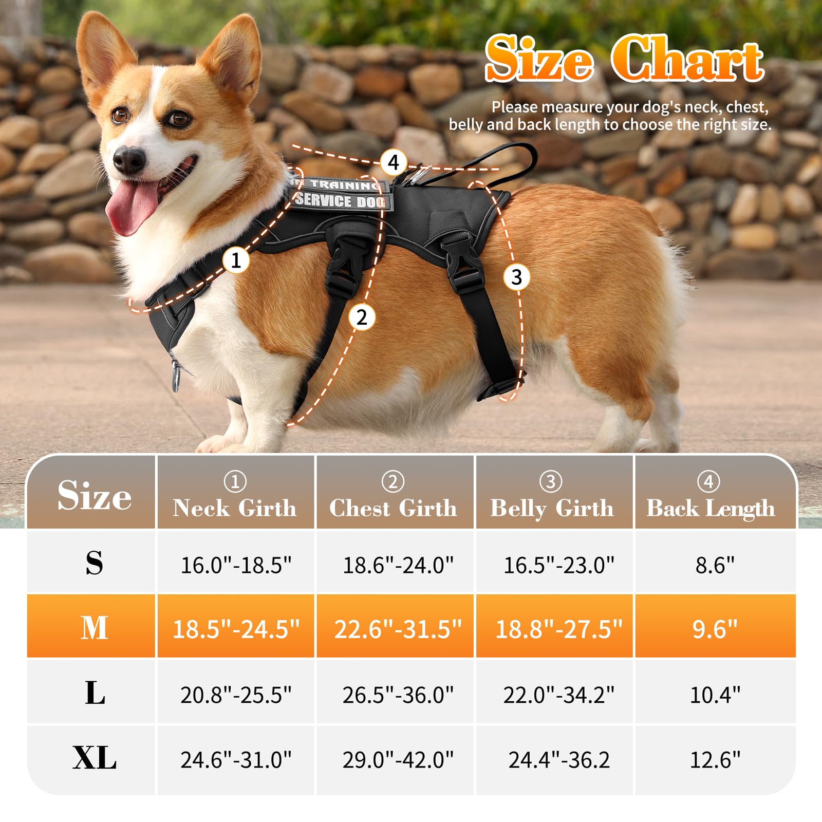 VOOPET Escape Proof Dog Harness, Soft Padded Full Body Pet Harness, Reflective No Pull Dog Harness with Handle and 2 Leash Clips for Medium Dogs Walking Hiking Training (Black,M) - image 3
