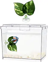 Mini Aquário Betta, 1 litro, Plástico, Transparente, Empilhável, Kit para Iniciantes, Peixe, Aquário