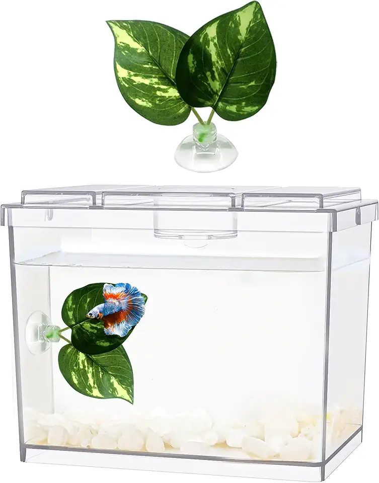 Mini Aquário Betta, 1 litro, Plástico, Transparente, Empilhável, Kit para Iniciantes, Peixe, Aquário