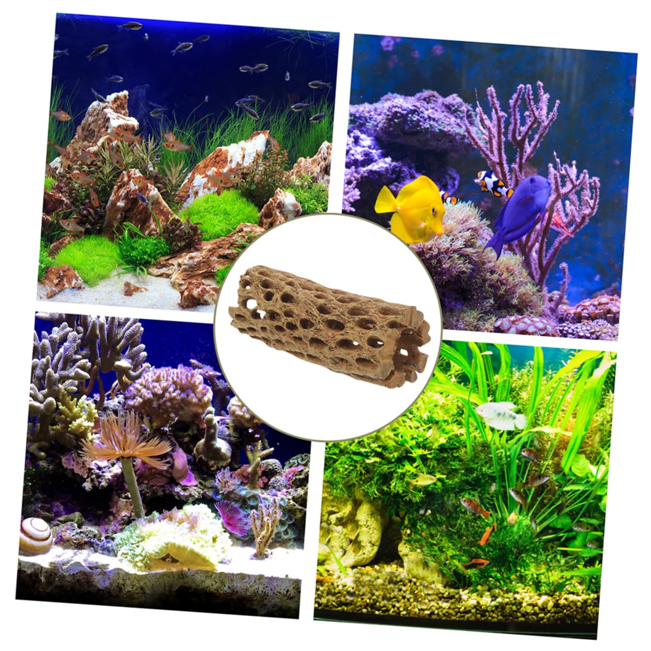 2 Stück Resin Garnelenversteck Aquarium Deko Kleines Fischversteck Naturgetreu Robust für Süßwasser und Meerwasser Aquarien Zubehör