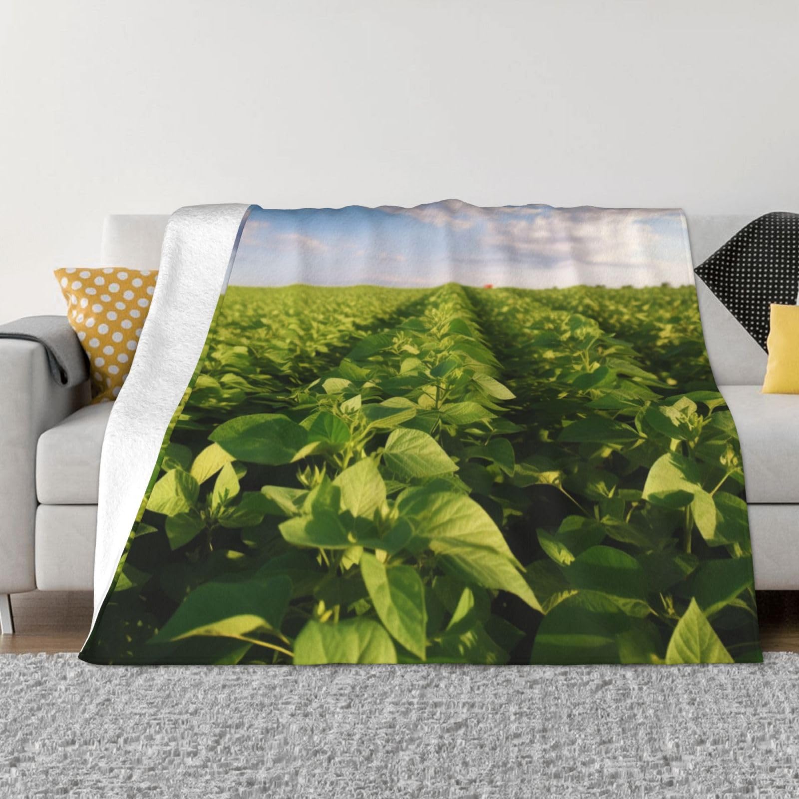 Couverture polaire champ de soja plaid flanelle douce légère lit canapé 152x127